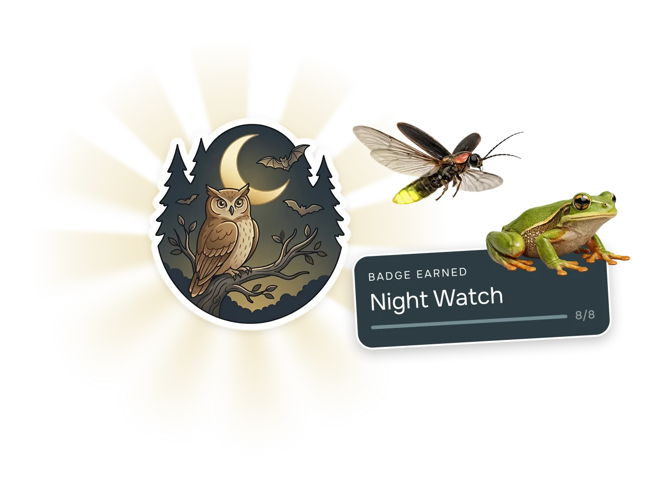 Night Watch badge with fireflies, frog, and achievement progress
